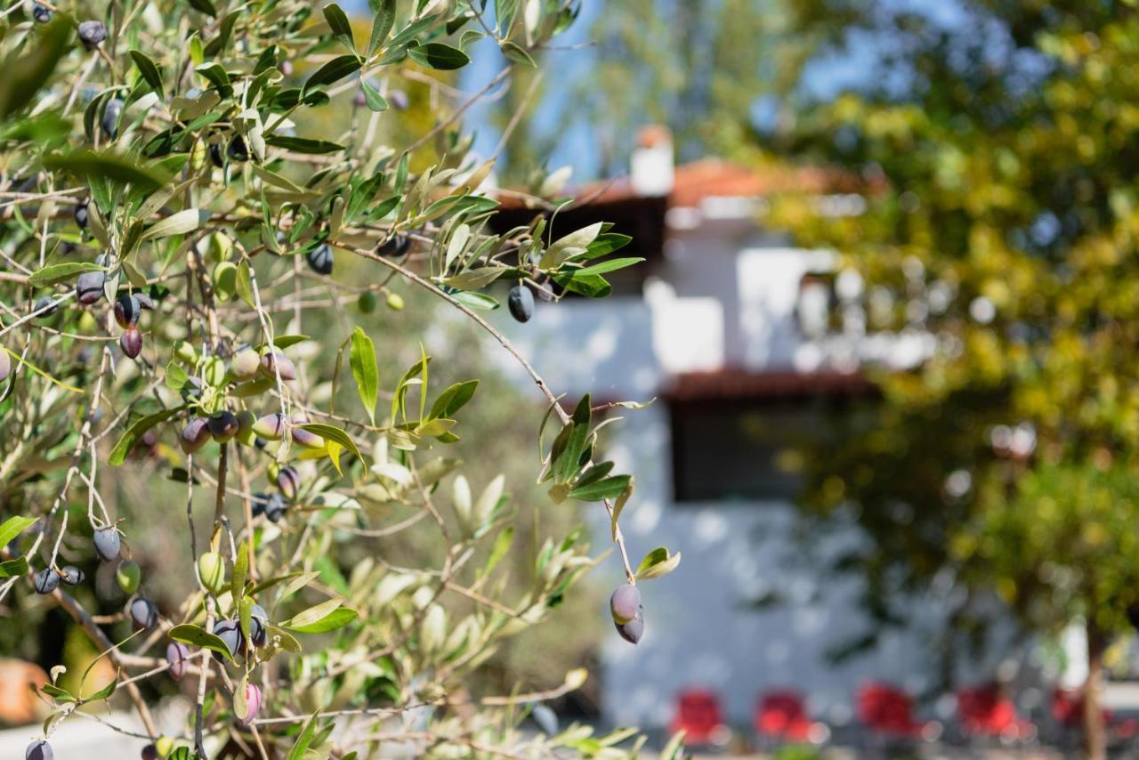 Diamond Farm Villa Kala Nera Exterior foto